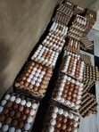 Fresh Farm Eggs - Wholesale & Retail - 1
