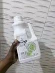 Boba Tea Syrups and Pulp - 3