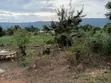10 Acres Commercial Land - Dodowa- Ayi Kuma - 5
