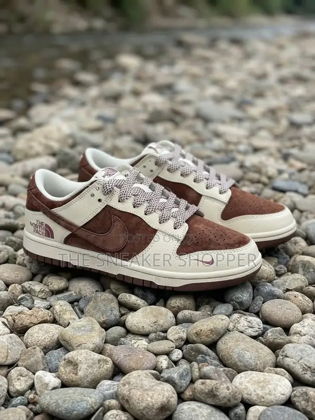 Nike Dunk Low Cacao / Sail / Brown - 1