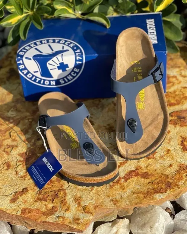 Eli's Birkenstock Slides - 1
