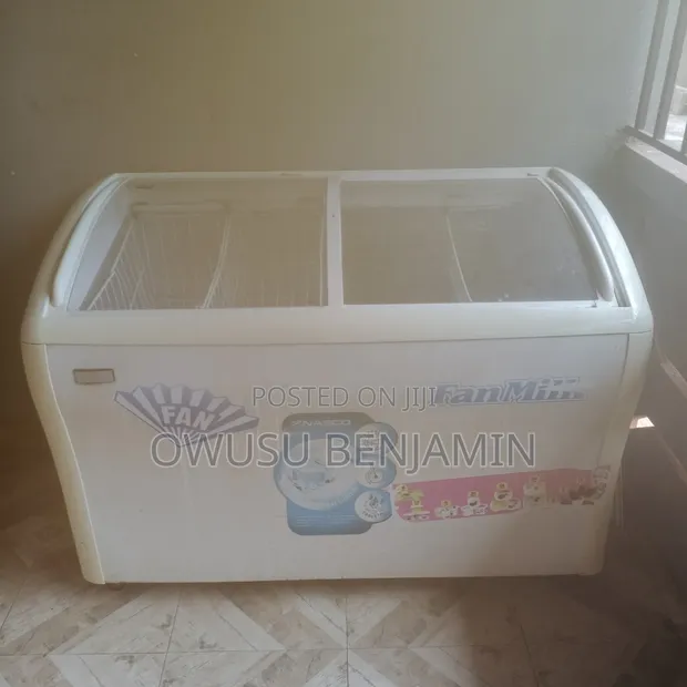 Nasco Chest Display Freezer - 1