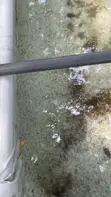 Catfish Hatchery Setup Service - 2