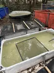 Catfish Hatchery Setup Service - 3