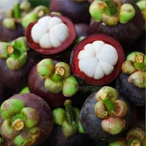 Mangosteen Fruit Tree Seeds