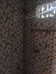 1-Bedroom Apartment for Rent in Apatrapa, Kumasi - 4