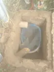 Plumbing Services & Biodigester Installation - 2