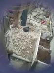Plumbing Services & Biodigester Installation - 5
