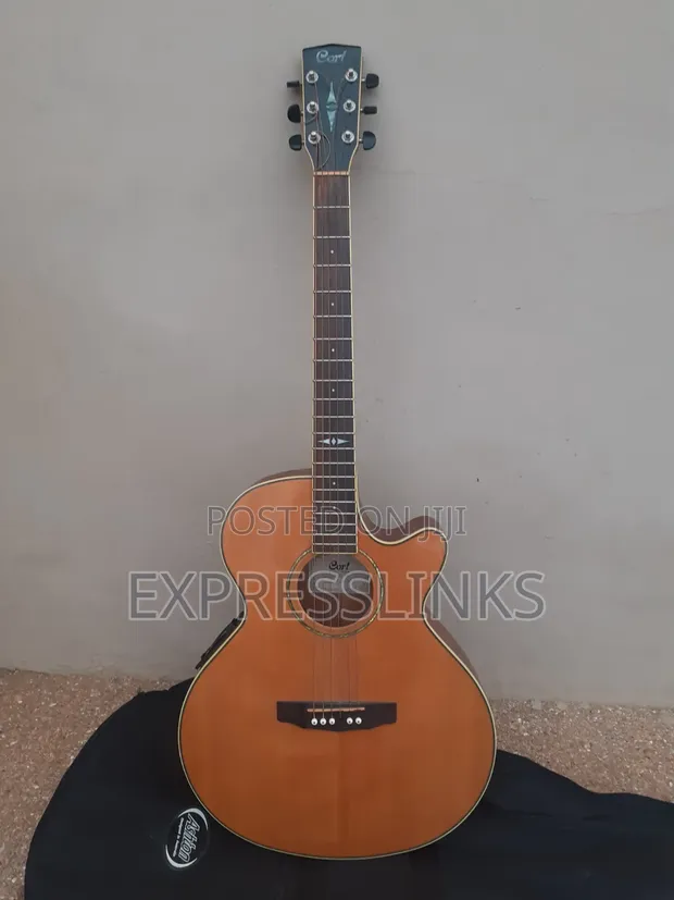 Cort Semi-Acoustic Guitar - 1