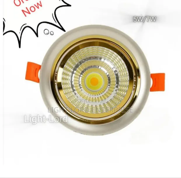 Modern Decor Spot Light - 2 Color - 1