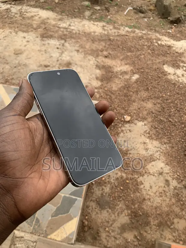 Apple iPhone 14 Pro Max 256GB Silver - 1