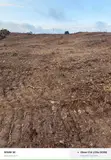 Plot of Land for Sale - Kasoa Akoti Akraman - 1