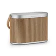 Bang & Olufsen Beosound A5 Wireless Portable Speaker - 2