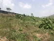 Genuine Residential Land for Sale at Kofi Kwei - Ayidan - 3