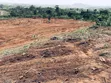 Genuine Residential Land for Sale at Kofi Kwei - Ayidan - 4