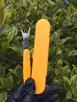 Tongue Scraper - 3