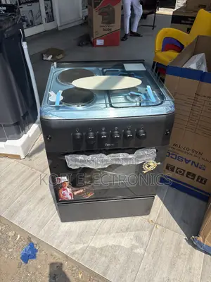 Freestanding Hybrid Cooker - 2 Gas Burners & 2 Electric Plates