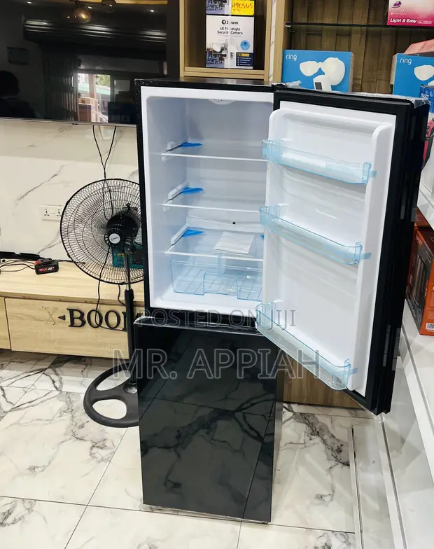 Classic Bottom Mount Freezer Fridge (Black) - 1