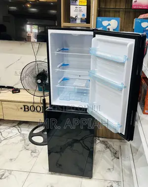 Classic Bottom Mount Freezer Fridge (Black)