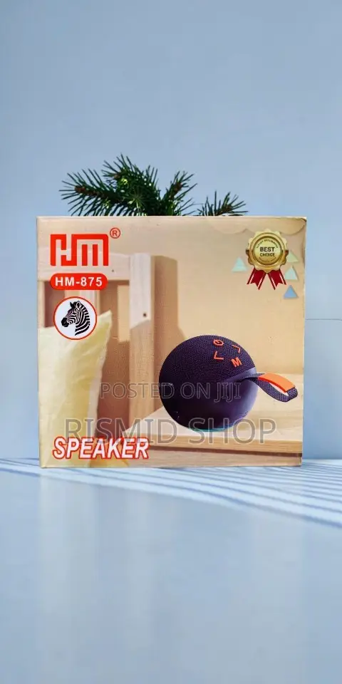 HM-875 Wireless Bluetooth Music Speaker - 1