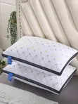 Orthopedic Health Pillow - Ergonomic Neck Support - 1