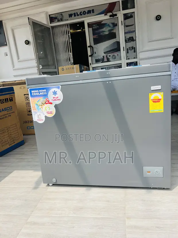 Premium Nasco Single Door Chest Freezer (NAS300FL) - Gray - 1