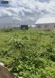 Plot of Land for Sale in Tamale - 2