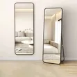 Modern Decorative Wall Mirror - Brand New - 2