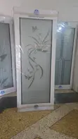 Quality Unbreakable Bathroom Door - 3