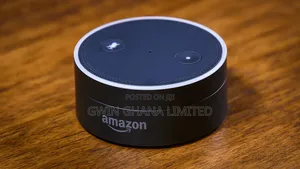 Amazon Echo Dot Gen 1