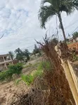 One Acre Litigation-Free Land for Sale in Teshie-Nungua Estates - 5