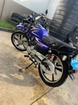 Royal RY150 Motorcycle 2025 Blue - 2