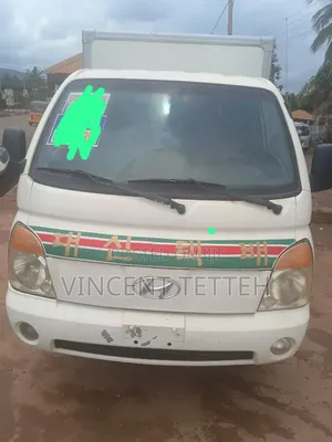 Hyundai Mini Truck