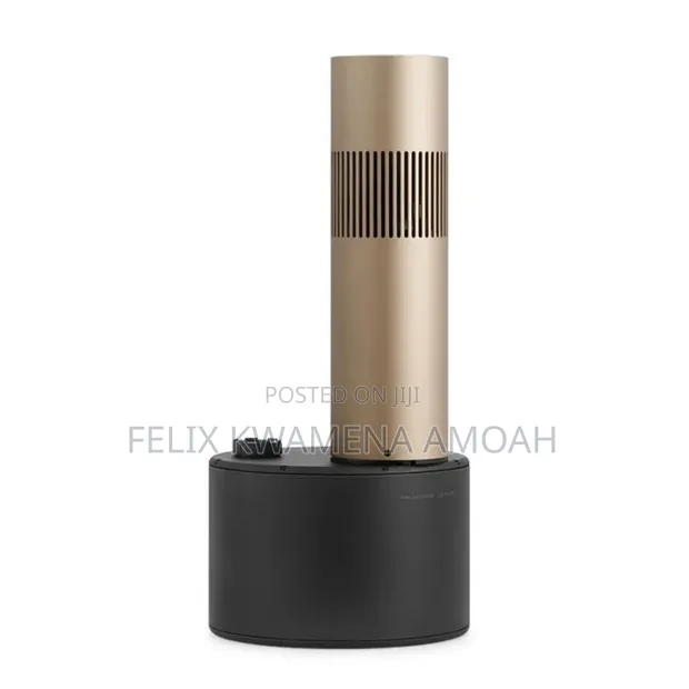 Bang & Olufsen Outdoor Speakers (Pair) - 1