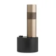 Bang & Olufsen Outdoor Speakers (Pair) - 1