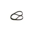 Ford Fiesta Timing Belt (1989-1995) - 1