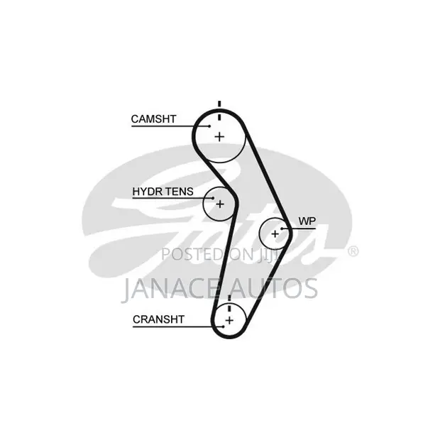 Chrysler Dodge Plymouth Gates T245 Timing Belt - 1