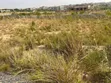 1.5 Plots Residential Land at Prampram - 2