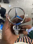 Mercedes-Benz Front Crown and Logo - 2