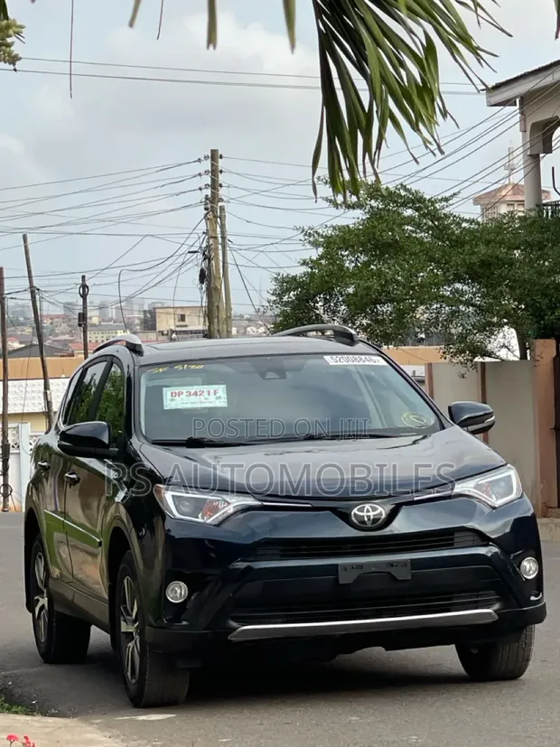 Toyota RAV4 XLE 2018 Black - 1