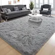 Fluffy Floor Carpet - Soft & Luxurious Rug - 2