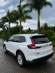 Honda CR-V EX-L AWD 2023 Pearl - 3
