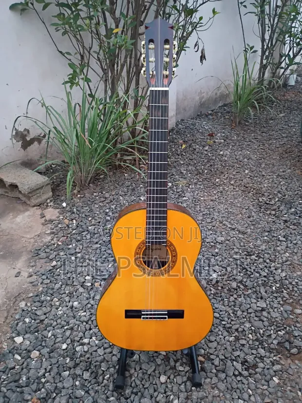 Kingston C-120 Classical Guitar - 1