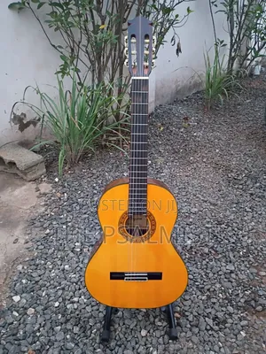 Kingston C-120 Classical Guitar