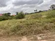 Litigation-Free Roadside Land for Sale in Mobole - 2