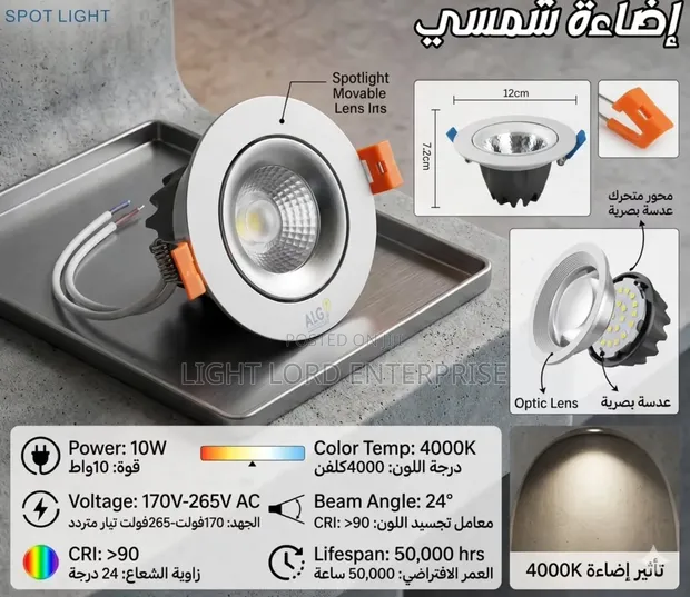 Silver Body Spot Light - 2 Color Options - 1