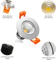 Silver Body Spot Light - 2 Color Options - 2