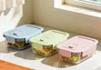 Borosilicate Glass Bowls with Lids - 2