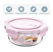 Borosilicate Glass Bowls with Lids - 4
