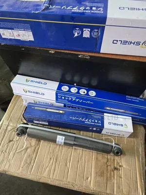 Nissan Rogue Rear Shock Absorbers - Brand New